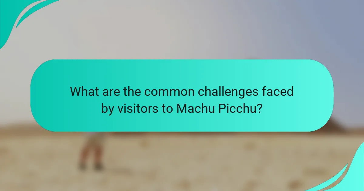 What are the common challenges faced by visitors to Machu Picchu?
