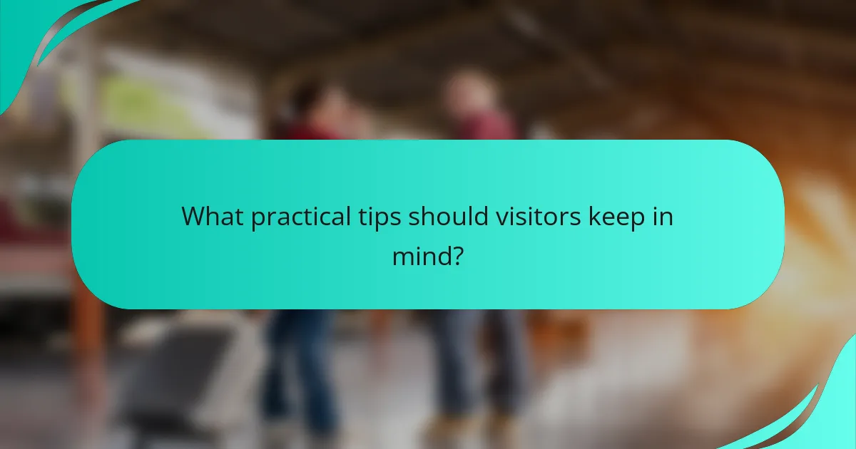 What practical tips should visitors keep in mind?