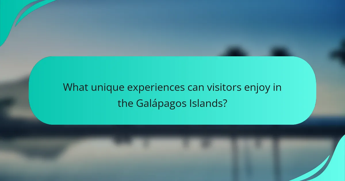 What unique experiences can visitors enjoy in the Galápagos Islands?